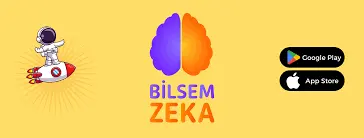 Bilsem Zeka