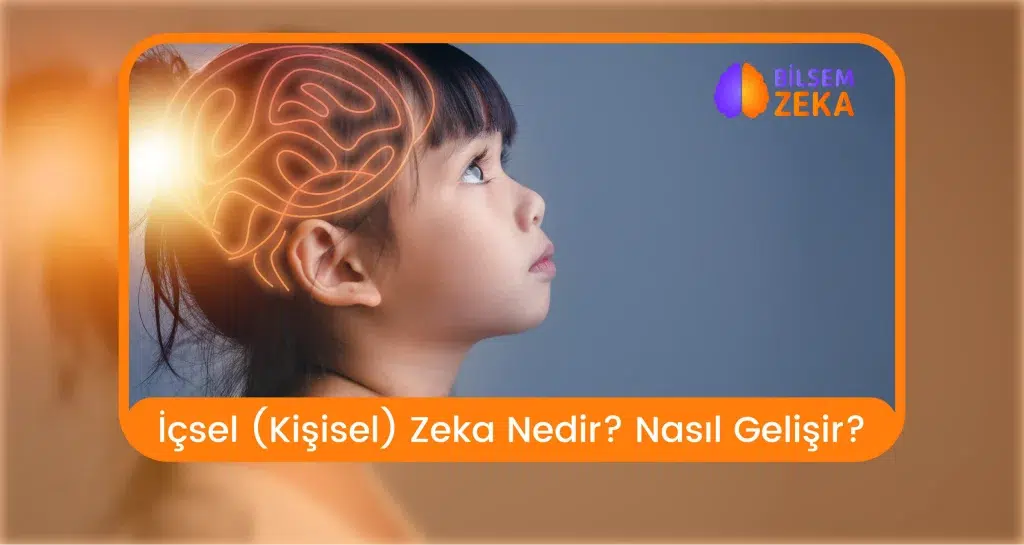 İçsel Zeka Nedir? Nasıl Gelişir?