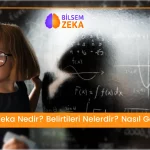 Sayısal Zeka nedir Blog banner