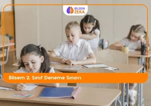 BİLSEM 2 Sınıf soruları Deneme Sınavı