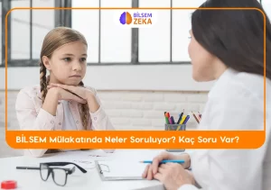 Bilsem Mülakatta Kaç Soru Var