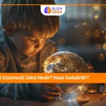 Gorsel zeka nedir?