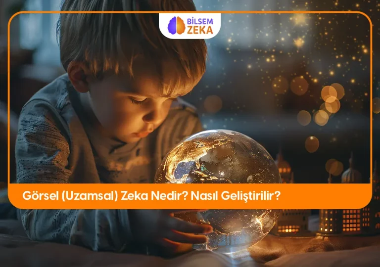 Gorsel zeka nedir?